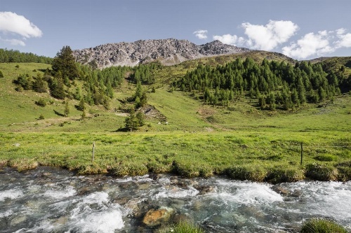 Chalet Büdemji by Arosa Holiday image 45