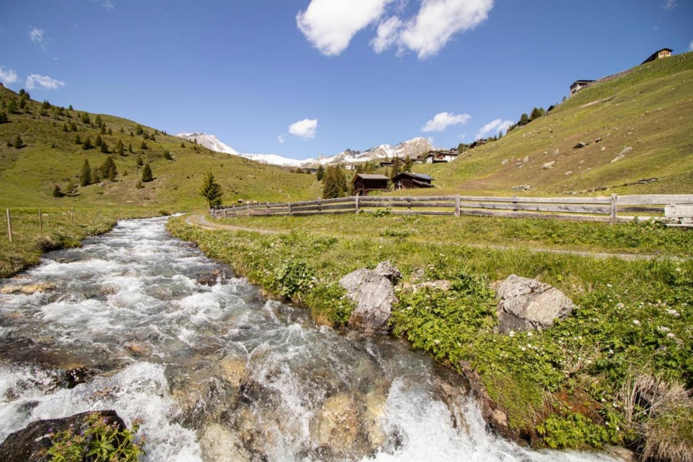 Chalet Büdemji by Arosa Holiday Image 7